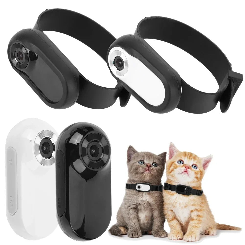 Collier Caméra HD 1080P pour Chats et Chiens – Capturez Le Monde à Travers Leurs Yeux !