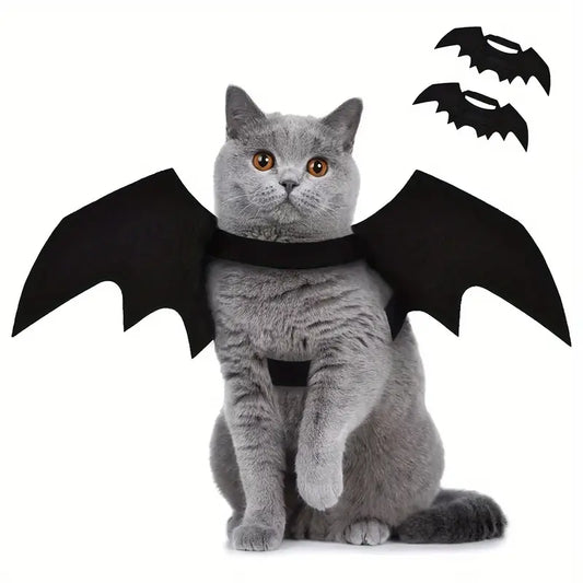 Costume Ailes de Chauve-Souris pour Chats - Déguisement Halloween Fun