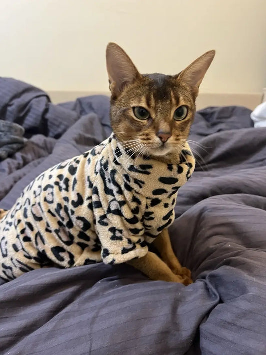 Pull Doublé en Polaire pour Chats - Confortable et Chaud