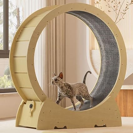 Roue d'Exercice pour Chat en Bois Massif avec Verrous