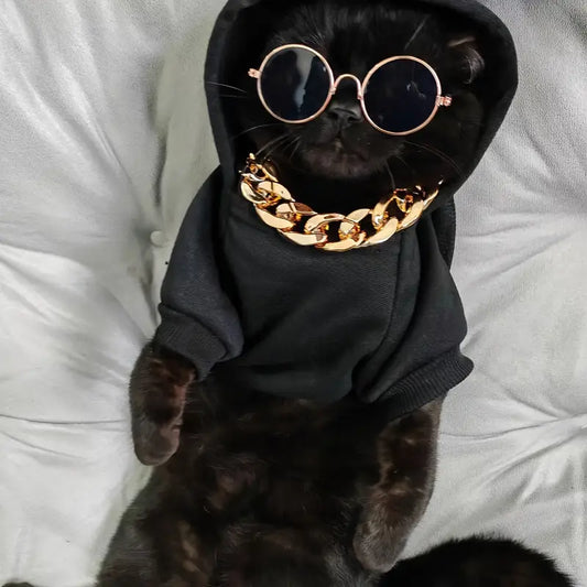 Costume Chic avec Pull à Capuche, Collier Doré et Lunettes de Soleil pour Animaux de Compagnie