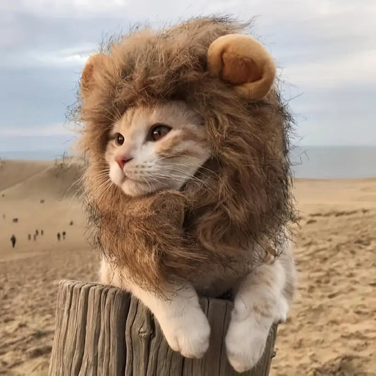 Costume de Chat à Crinière de Lion - Adorable et Confortable