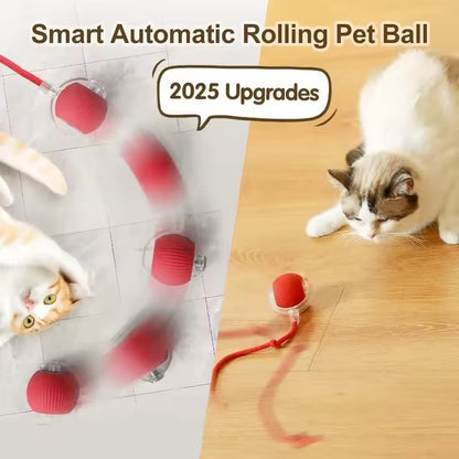 Catball | La Balle Intelligente pour chat