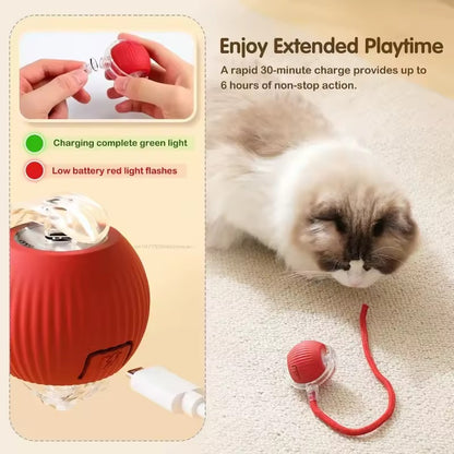 Catball | La Balle Intelligente pour chat