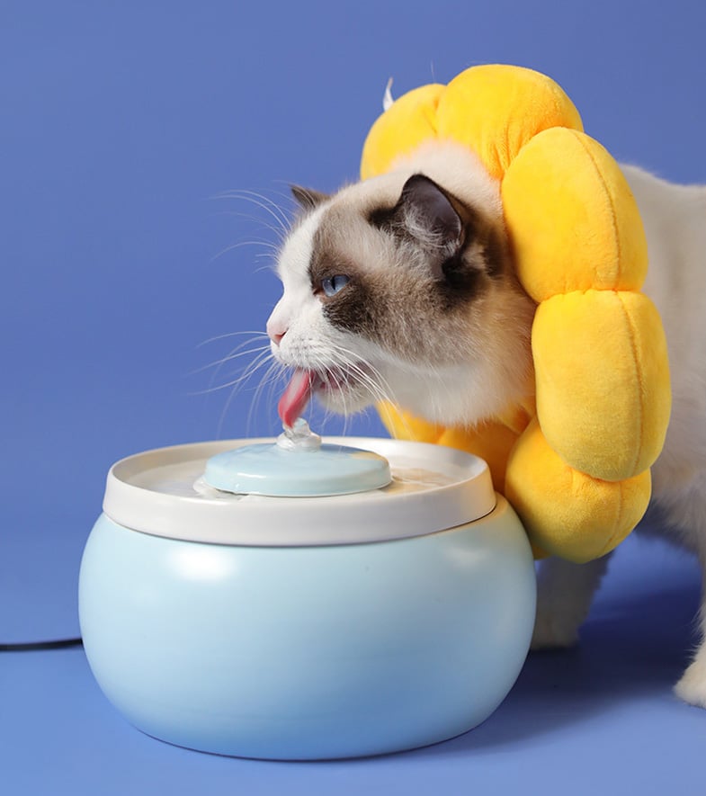 Collerette Épaisse en Forme de Fleur Jaune pour Chat