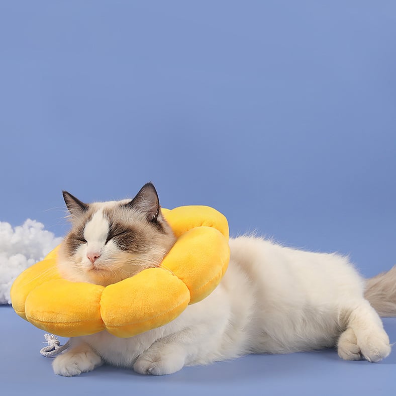 Collerette Épaisse en Forme de Fleur Jaune pour Chat