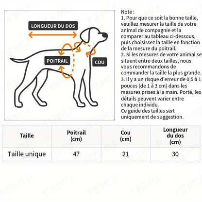 Cape de Vampire Halloween pour Chat - Déguisement Effrayant et Élégant